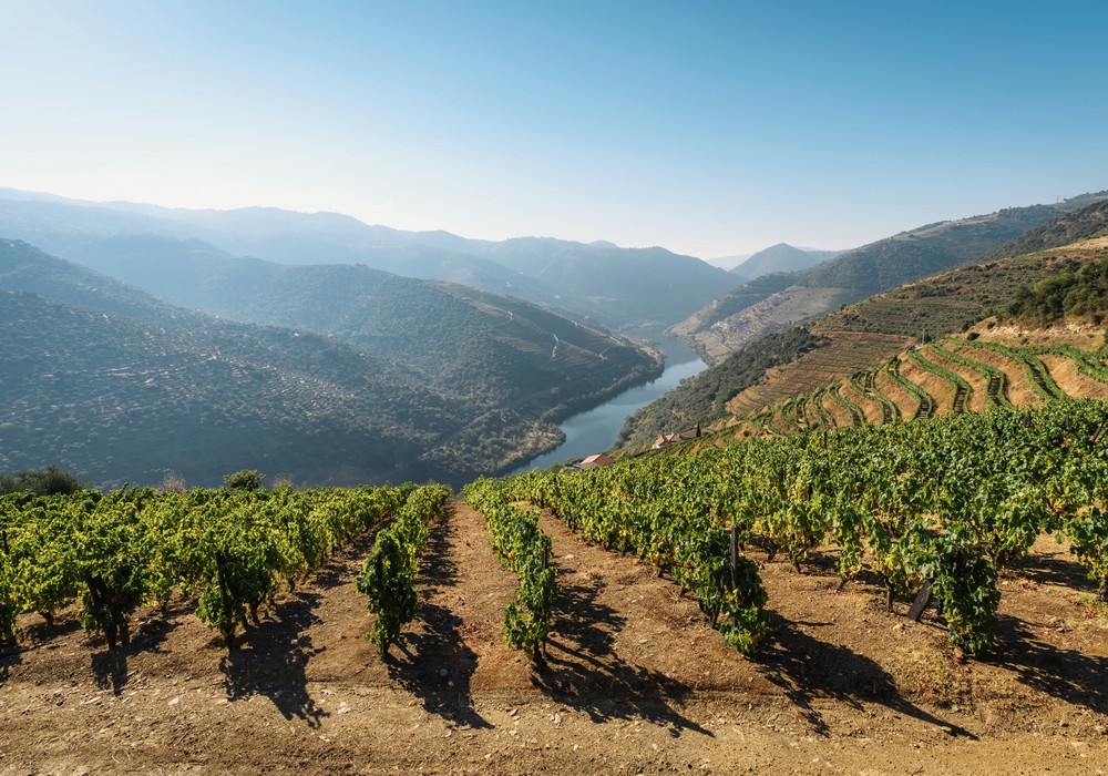 CROISIERE SUR LE DOURO
